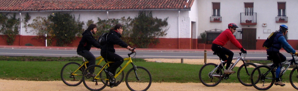 Subvenci�n movilidad