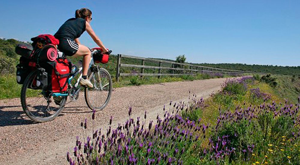 La Fundación gestionará 10 millones de euros en ayudas a entidades locales para impulsar la movilidad ciclista La Fundación gestionará 10 millones de euros en ayudas a entidades locales para impulsar la movilidad ciclista