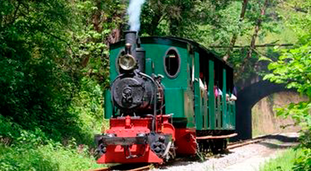 Celebradas las I Jornadas sobre los ferrocarriles históricos españoles Celebradas las I Jornadas sobre los ferrocarriles históricos españoles