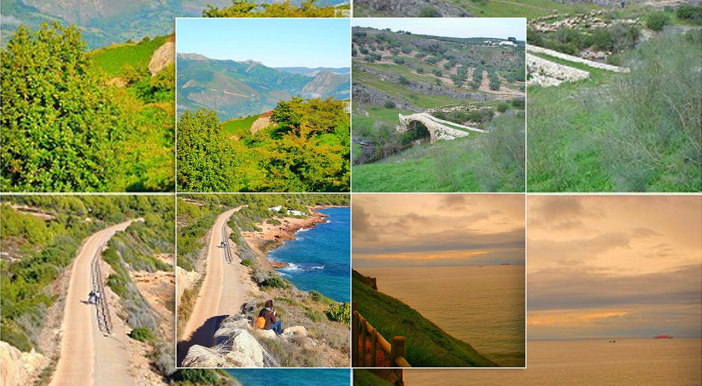 Las V�as Verdes son para el verano