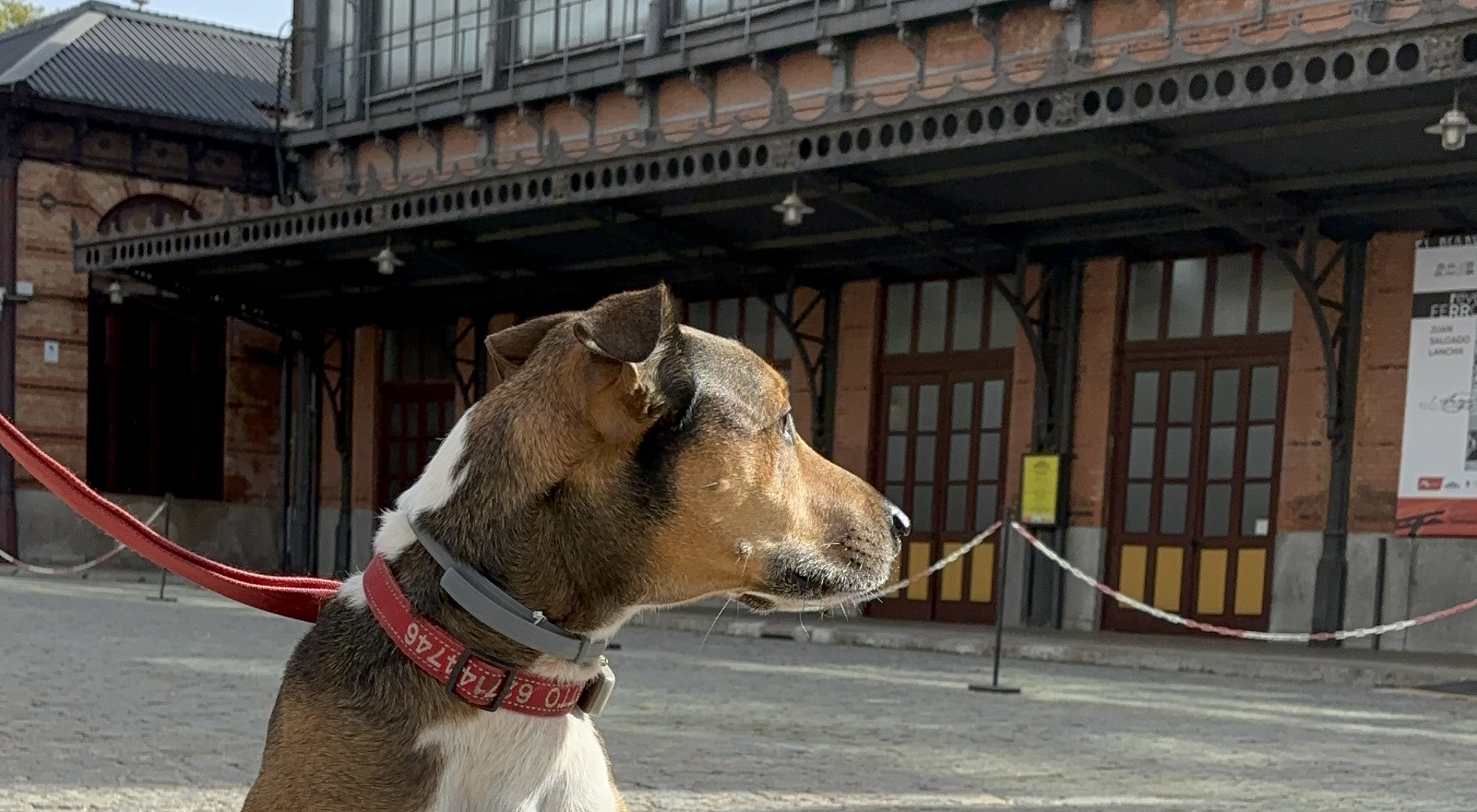 Los museos del Ferrocarril se vuelven ´dog friendly´ Los museos del Ferrocarril se vuelven ´dog friendly´